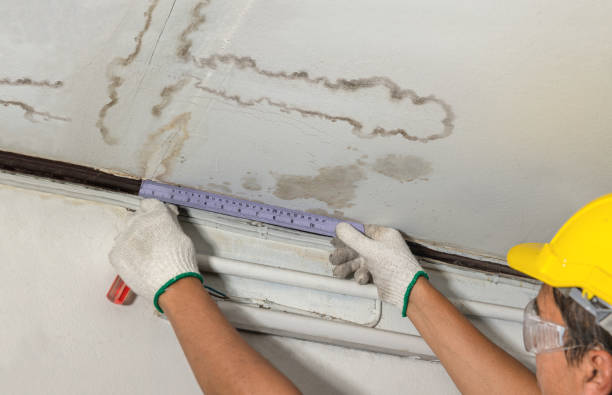 Reliable Burst Pipe Cleanup contractor in Papillion, NE by Water Damage Irwin